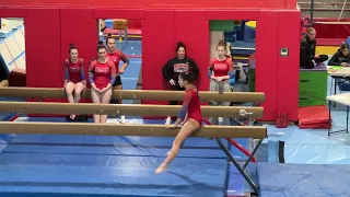 Natick HS Gymnastics :: Winter 2024 vs Newton North HS