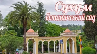 Ботанический сад В Сухуме Абхазия , полный обзор сада