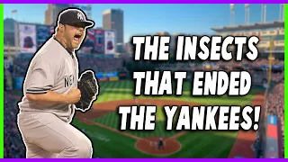 How Bugs Changed the Course of New York Yankees History