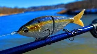 Fishing a SHAD SWIMBAIT for GIANT PIKE!