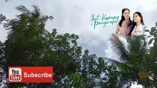 Abot Kamay na Pangarap: Full Episode 50 (November 2, 2022)