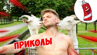 ЗАСМЕЯЛСЯ - ПОДПИСАЛСЯ! | FUNNY MOMENTS 2023 | 624 СЕКУНДЫ СМЕХА! | #350