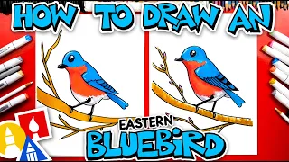 How To Draw An Eastern Bluebird