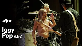 Iggy Pop - "I Wanna Be Your Dog" | Live at Sydney Opera House