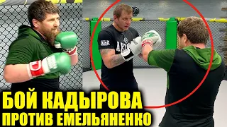 Кадыров ЗАРУБИЛСЯ с Емельяненко! Рамзан Кадыров устроил спарринг с Александр Емельяненко по боксу