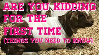 Things To Know When Kidding Goats Out For The First Time. (boer Goats) (clear creek farms)