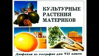 Диафильм Культурные растения материков /по географии для 7 класса/