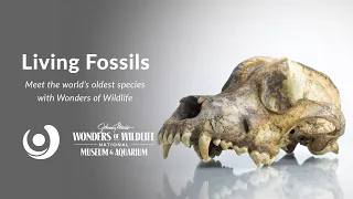 Varsity Tutors' StarCourse - Living Fossils presented by Wonders of Wildlife