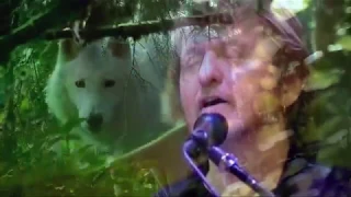 Jon Anderson - Change We Must  4K