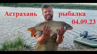 Астрахань - рыбалка. 04.09.23