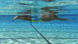 Freestyle Stroke Count Variation