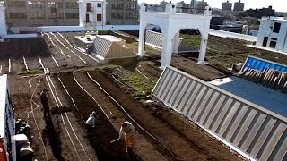 Farming on a Rooftop | National Geographic