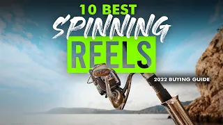 BEST SPINNING REELS: 10 Spinning Reels (2023 Buying Guide)