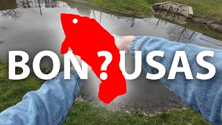 Avižadrebis ir netikėtas laimikis 🎣