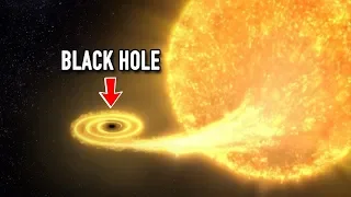 TESS Caught First Ever Black Hole Destroying Star!