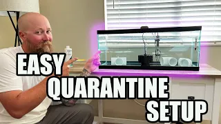 How To Setup An Easy Quarantine Aquarium FAST