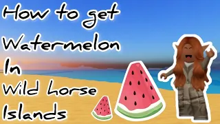 🍉 How To Get Watermelons In Wild Horse Islands 🍉 II Roblox