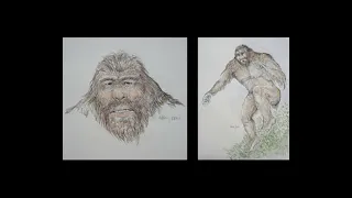 Bigfoot Documentary