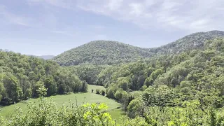 15-Minute Spring Symphony: Relaxing Forest and Bird Sounds in the French Countryside