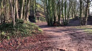 2018 ktm sx 65 dirt bike ride out