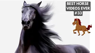 Cute and Funny Horse Videos Compilation 2022 | Best Horse Videos Ever #33