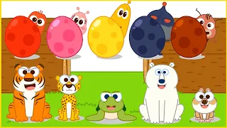 Bingo Song Baby songs Surprise Egg Stamp Animals Transformation play - Nursery Rhymes & Kids Songs