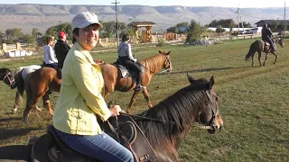 Конная прогулка 🏇🏇🏇 Первый опыт верховой езды! Прогулка на лошадях Кисловодск 2018