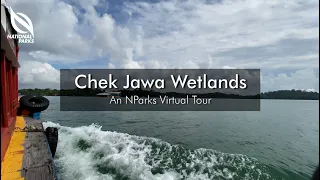 Ubin Day 2020 Virtual Tours | Chek Jawa Wetlands