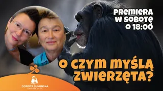 O czym myślą zwierzęta?