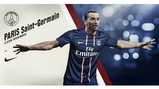 Zlatan Ibrahimovic All Goals For PSG Season 2012 2013 HD