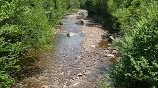 Rockhounding New Hampshire: The Zealand River