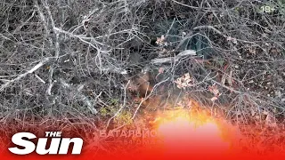 Ukrainian air assault brigade blows up unaware Russians