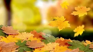 Autumn Leaves - Richard Galliano