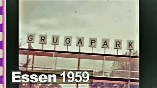 Stadt Essen 1959 - Grugapark - Zornige Ameise - Wachsames Hähnchen