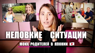 Мои родители приехали в Японию! Это жесть...