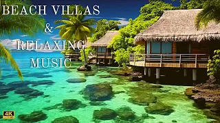 🏝️4K Beach House Vacation - Sea View With Still Clear Waters Palmtrees & Soft Relaxing Music 🌊☀️ 🐚