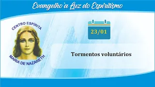 Evangelho Seg. Espiritismo -  Cap. V item 23 -  Tormentos voluntários