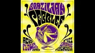 Various – Brazilian Pebbles Vol. 2 (Acid Flowers And Fuzz Garage Psychedelia) Beat Rock Music Album