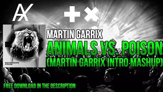 Martin Garrix - Animals vs. Poison (Martin Garrix Intro Mashup) (Tomorrowland 2022)