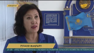Казахстанцы высказываются о статье Президента РК
