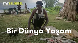 Bir Dünya Yaşam | Afrika'da Balıkçılık | TRT Belgesel