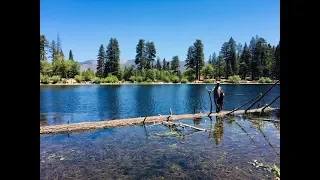 Camping at San Gorgonio Campground in San Bernardino National Forest