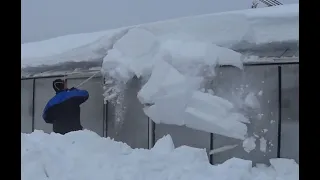 Dig out the greenhouse from 3 feet of snow/Måke frem drivhuset fra 1 meter med snø.