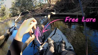 Cod Eat This Bright Pink Swimbait!?