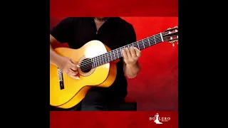 Armik - El Arte De La Guitarra - #shorts Video (Relaxing Solo Guitar)