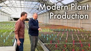 Tour of an Amazing Tissue Culture Plant Nursery