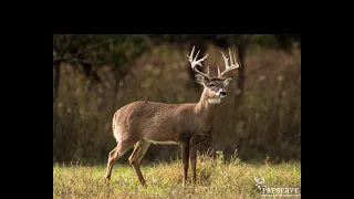 USOC Adventures TV 2020 The Preserve Oneida Nation Outfitters/Turning Stone Whitetail Hunt