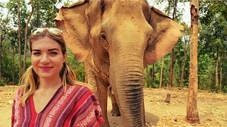 ELEPHANT JUNGLE SANCTUARY, CHIANG MAI, THAILAND