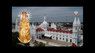 🔴 LIVE 07-04 -2024 | Vailankanni Shrine Basilica |  Sunday  Tamil Mass | MARIA TV |