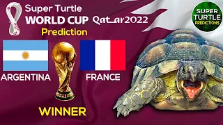 Argentina vs France | World Cup 2022 FINAL | 🐢Turtle Football Predictions